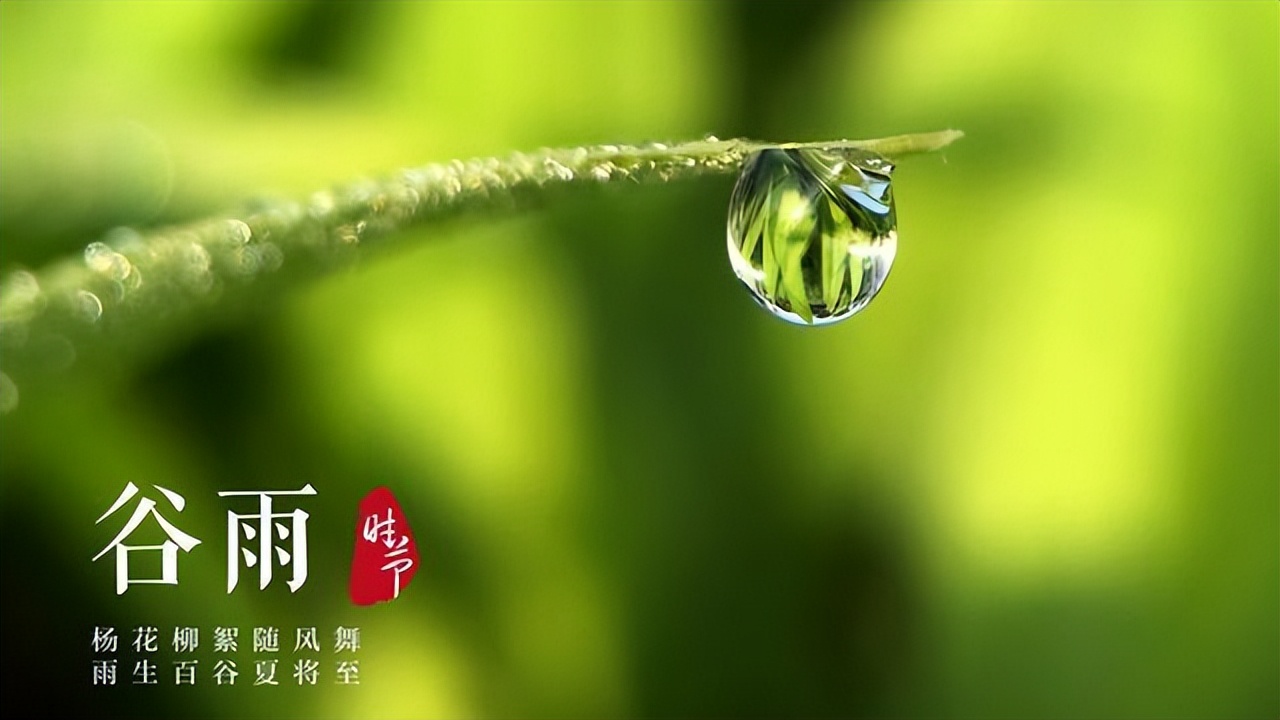 谷雨喝茶的好处与注意事项,谷雨茶什么时候喝最好