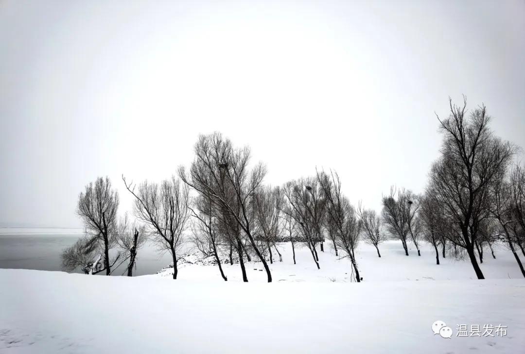 来这里邂逅一场落日余晖的浪漫,来这里邂逅柳州春天里的浪漫