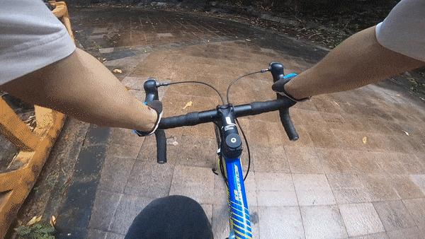 凤凰山绿道开放时间,凤凰山绿道全长多少公里