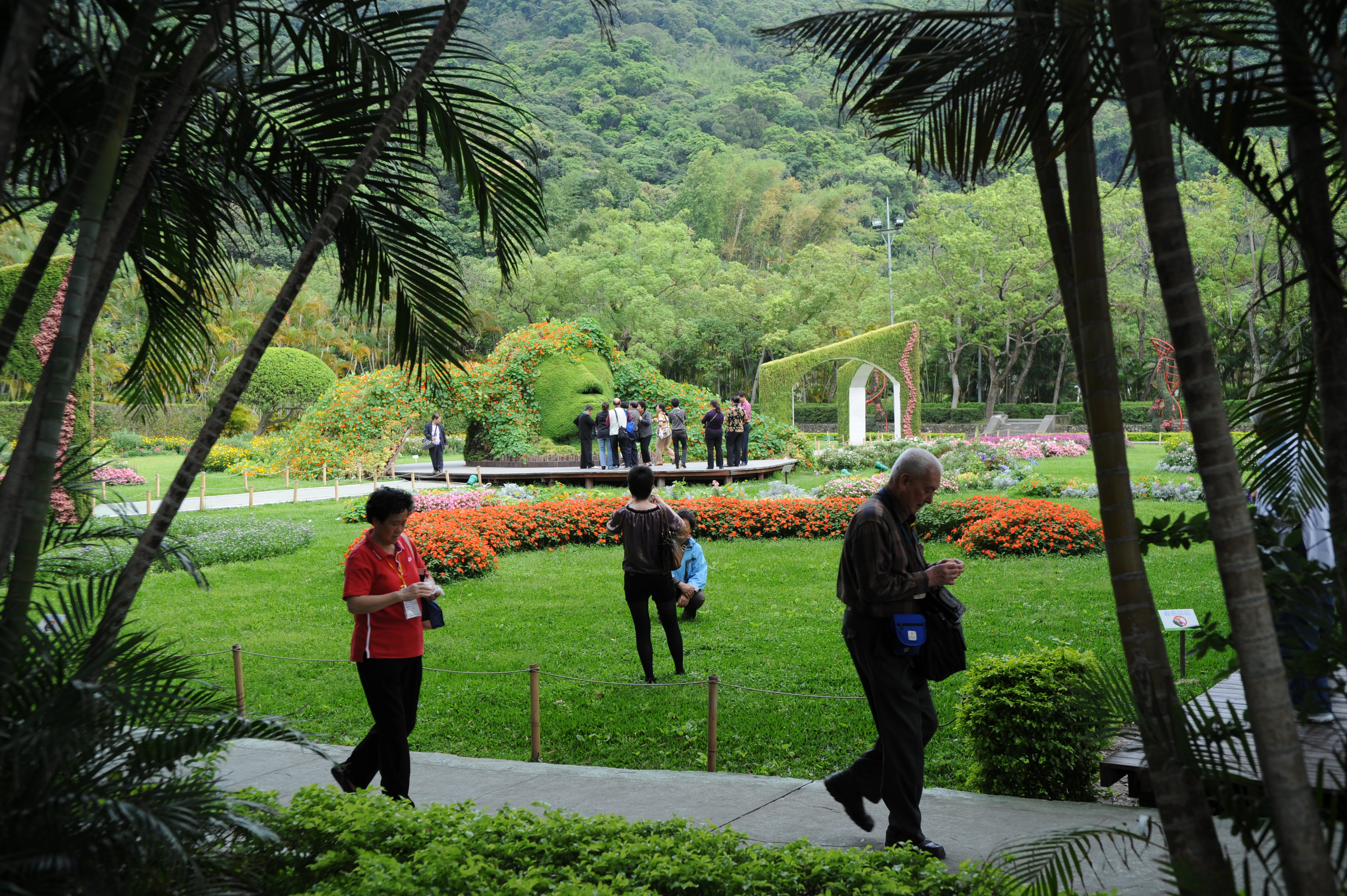 祖国我来了完整版,祖国我来了