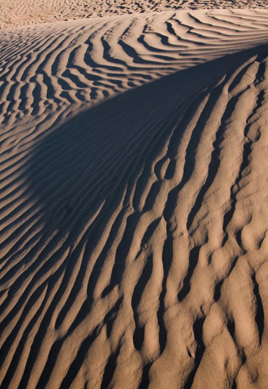 8一张好照片的六个要素,一张好照片最基本元素是什么