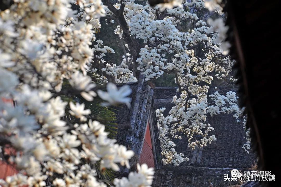 中原最大的寺庙,中原十大名寺是哪个