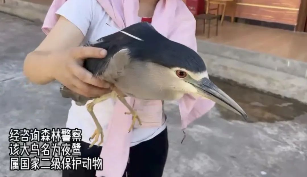 云南边检总站新消息,云南口岸通关最新消息官方