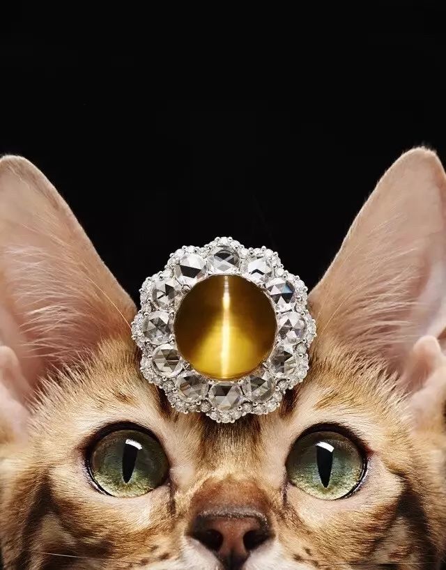 斯里兰卡为什么叫宝石之国,斯里兰卡有哪些宝石