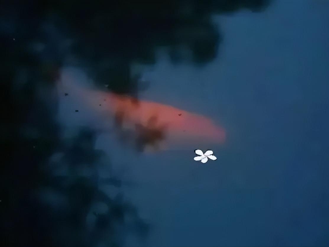 感染新冠肺炎应该注意什么,新冠肺炎患者饮食注意事项