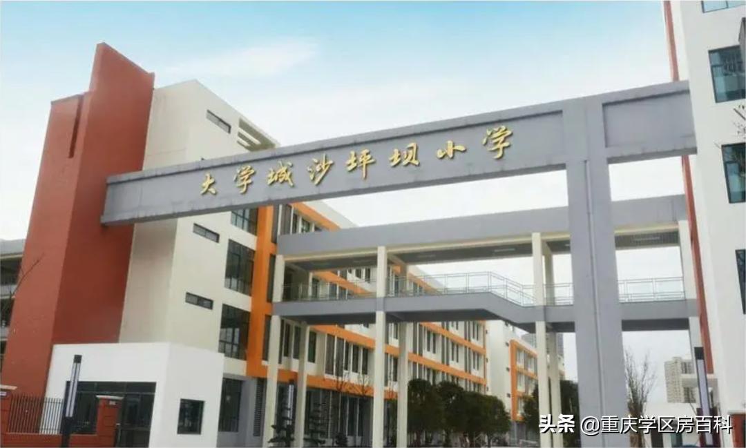 大学城这边哪个小学好点,大学城的小学怎么样