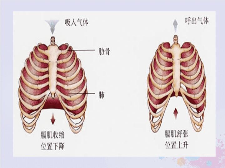 热搜上说打屁股能死人？法医鉴定是真的！
