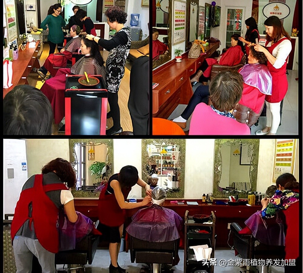 天然植物养发加盟哪家靠谱,纯植物养发粉加盟