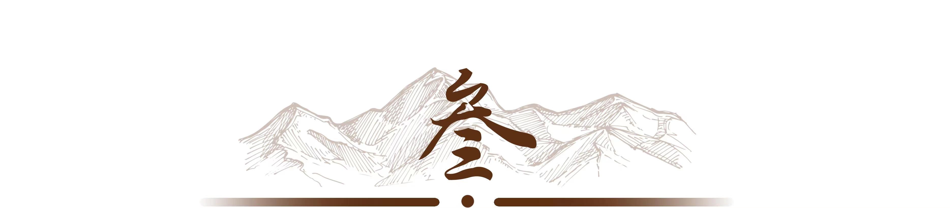 自称能拦截导弹，扑灭大兴安岭山火的气功大师严新，最终结局如何