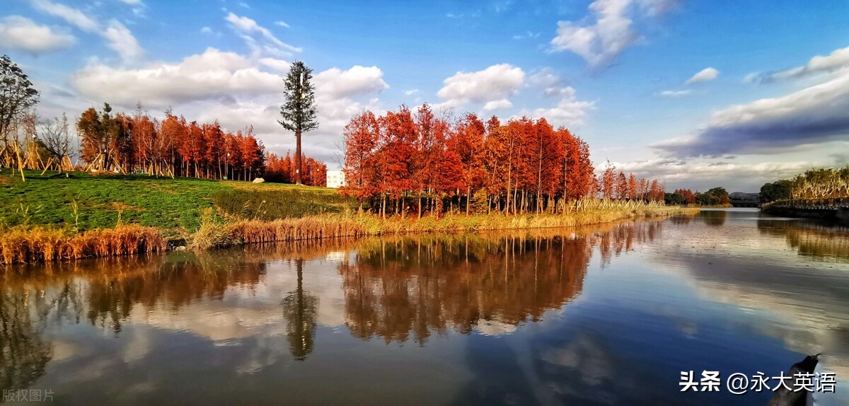 双减背景下小学英语作业如何优化,双减背景下小学英语作业创新讲座