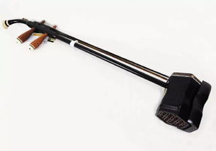 中国传统乐器二胡的前世今生,中国二胡的传承发展令人欣慰