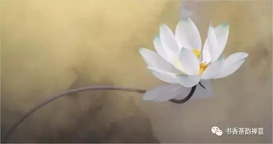 雨天喝茶去哪里,雨天周末喝茶