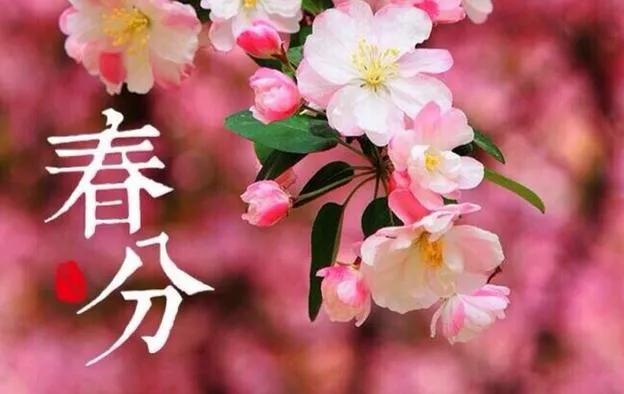 散文欣赏经典名篇,散文春朱自清原文多少字