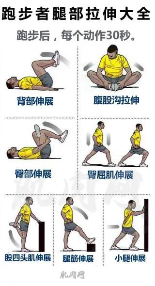 跑步腿粗了,怎样跑步腿不会粗