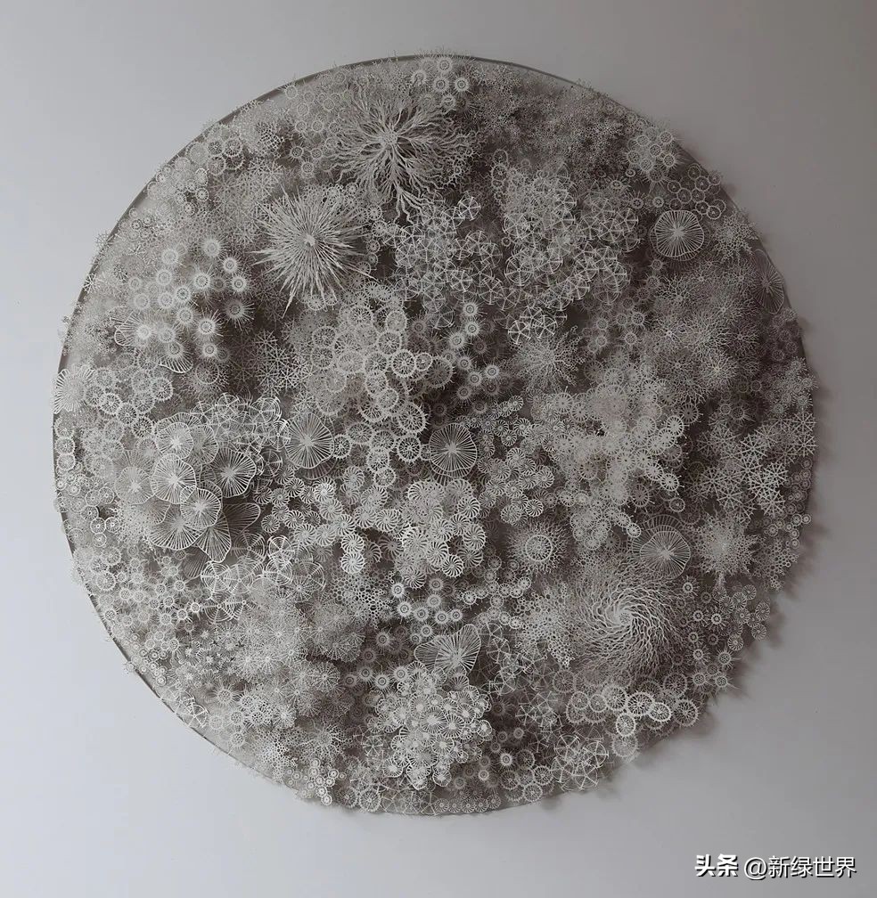 纸艺作品绘画,千变万化的纸艺术作品