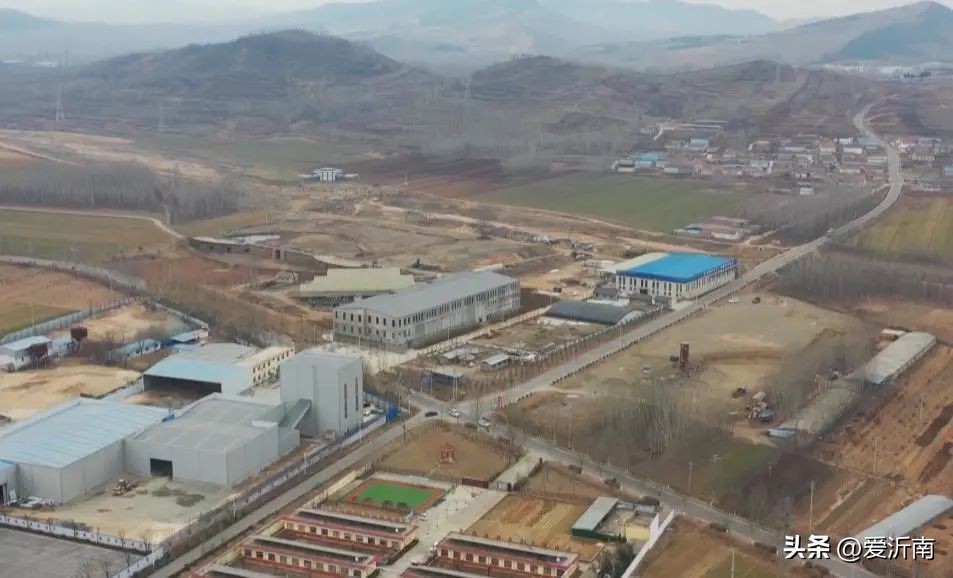 沂南县孙祖镇:羊肚菌撑起乡村振兴“致富伞”