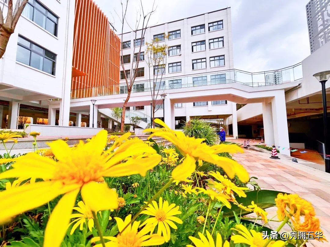 把春天装进校园里作文,把春天装进眼里