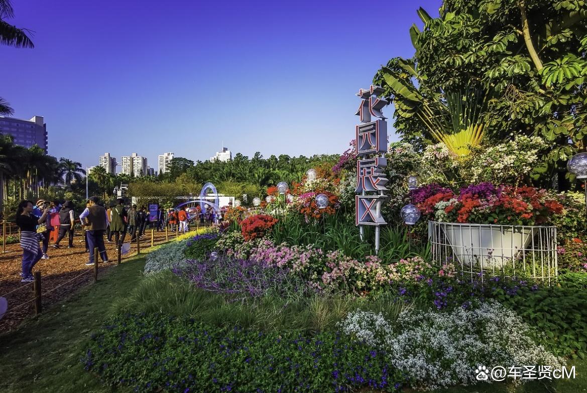 深圳莲花山公园风景,深圳人气最旺的公园