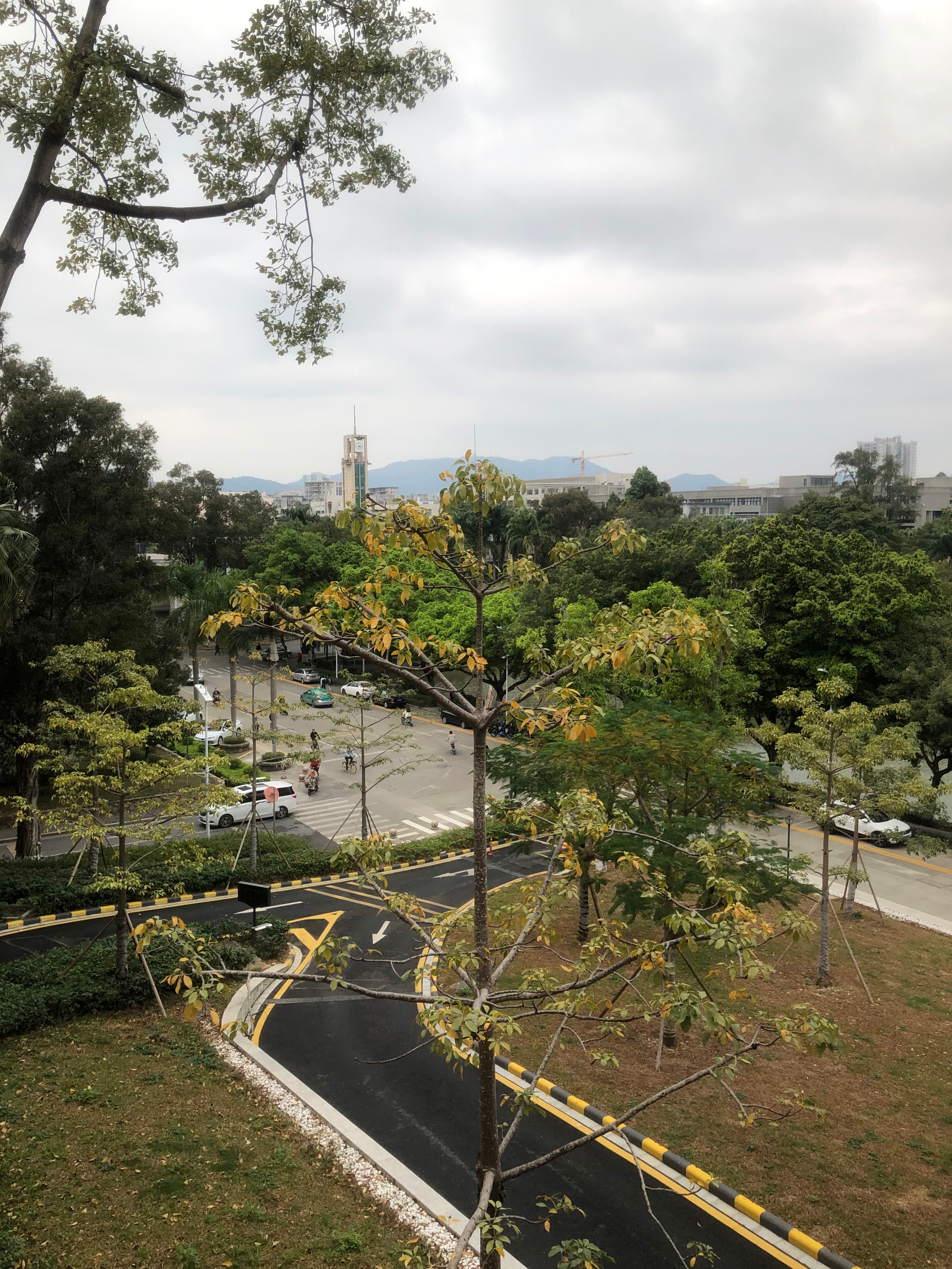 广州小城五山这个地方有多少个大学?