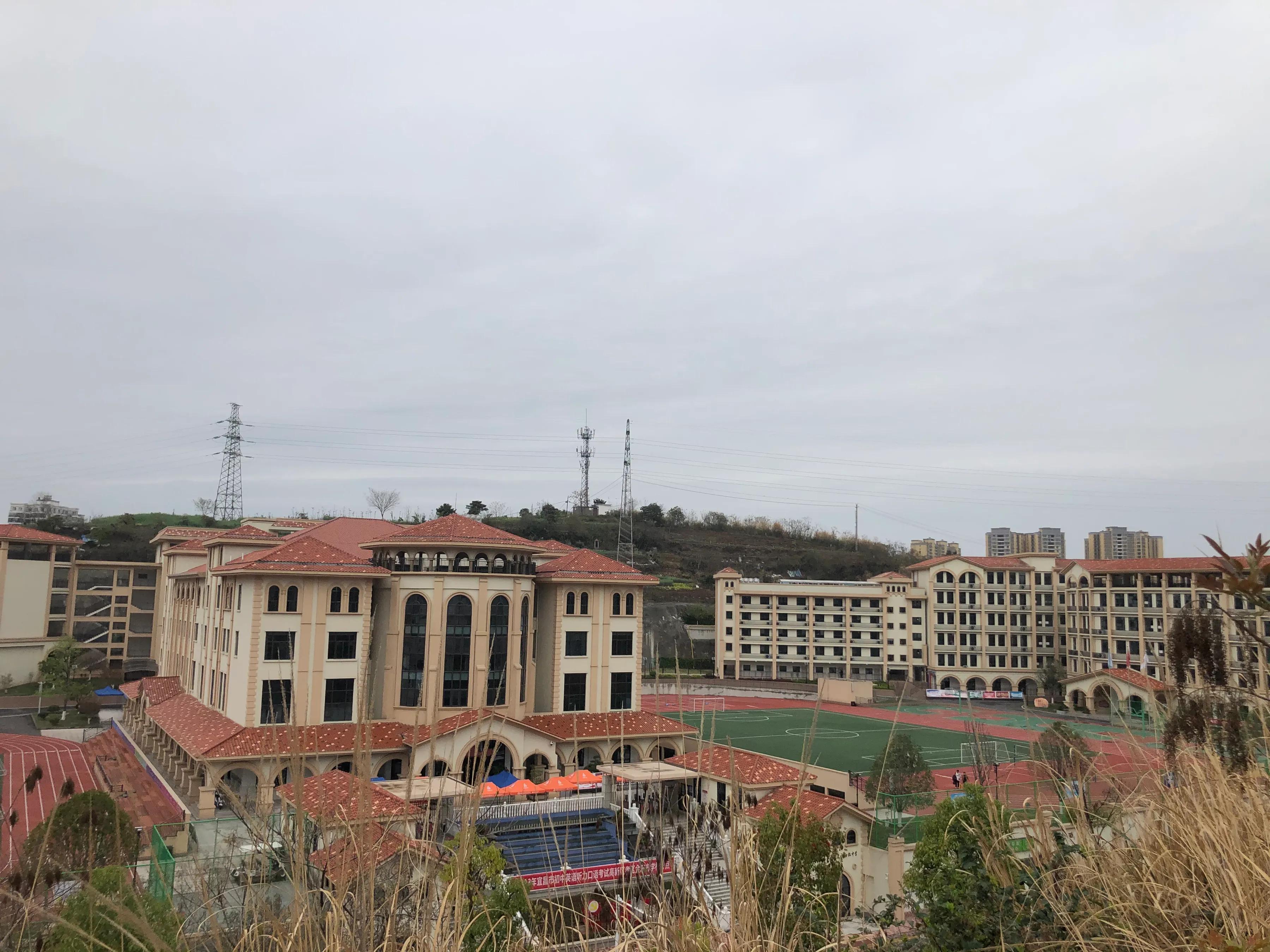 瀹滄槍鎺㈢,瀹滄槍杩愭渤鍏洯