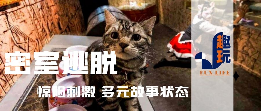 密室逃脱玩法技巧,密室逃脱新手玩法经验总结