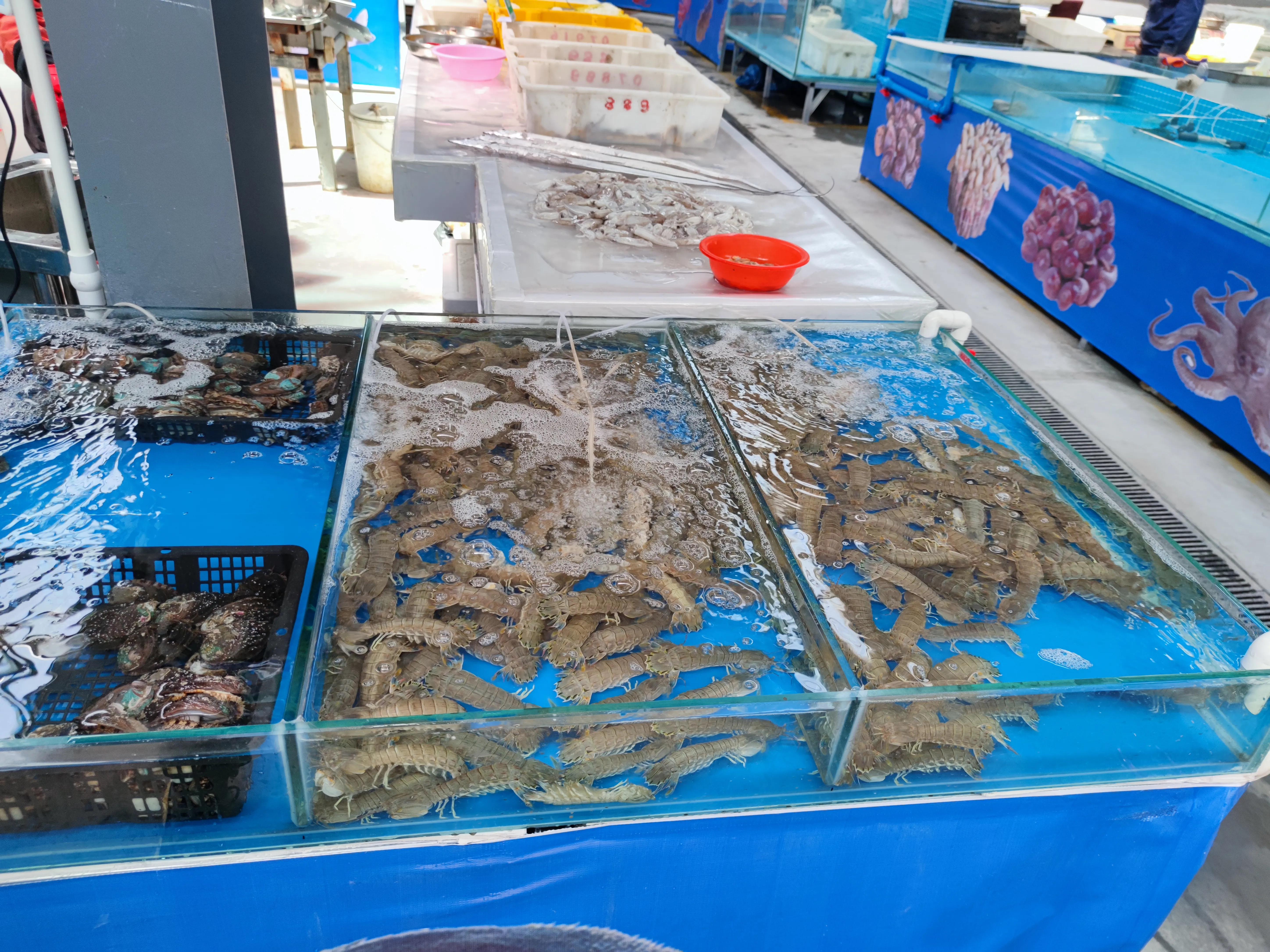 休渔期最不缺的海鲜,伏季休渔最好吃的海鲜