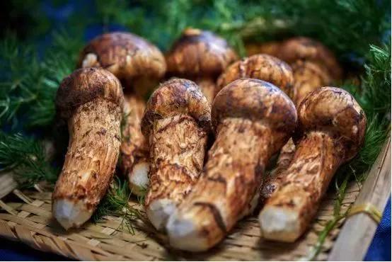 云南旅游各地美食推荐一下,去云南旅游必吃的美食有哪些