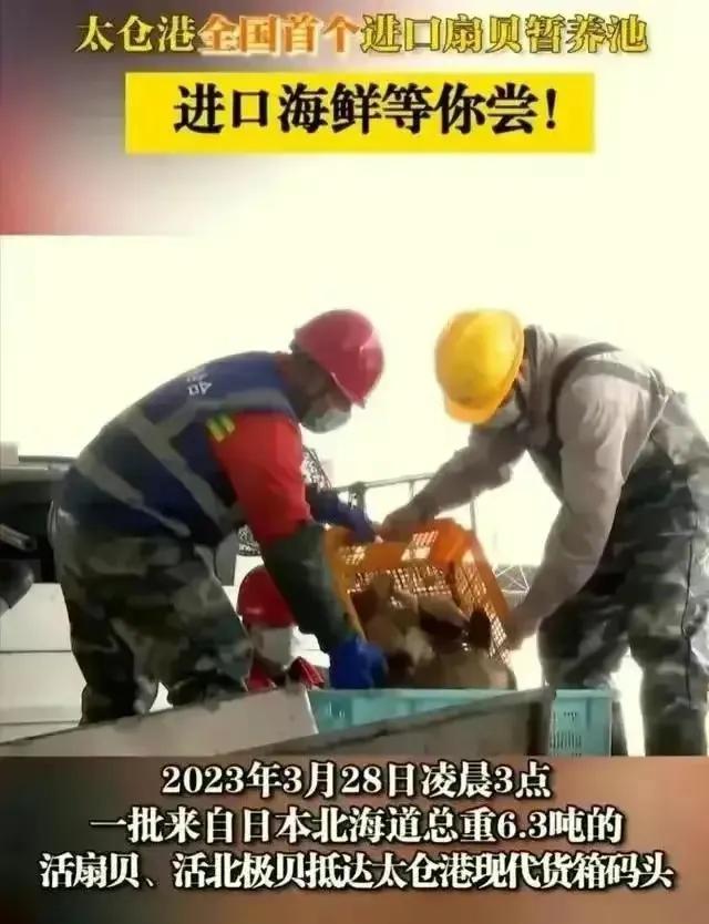 中国进口日本核污染产品,中国有进口日本核污染的鱼吗