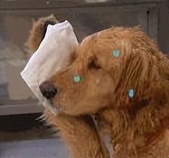 9块9的冰美式,9.9冰美式咖啡