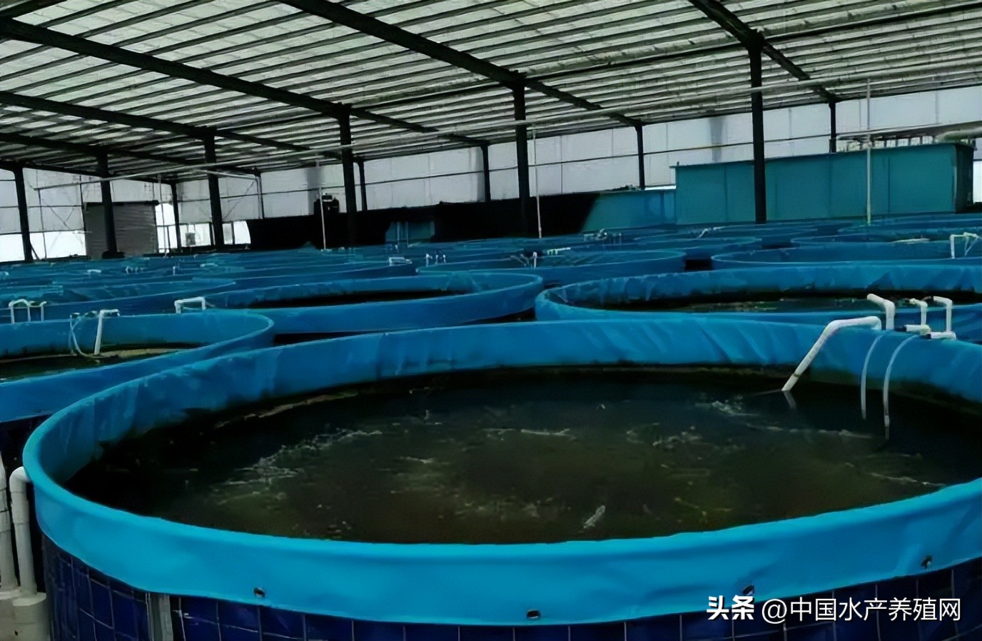 养殖遇困境六种模式帮您找出路,最坑人的50个养殖常识