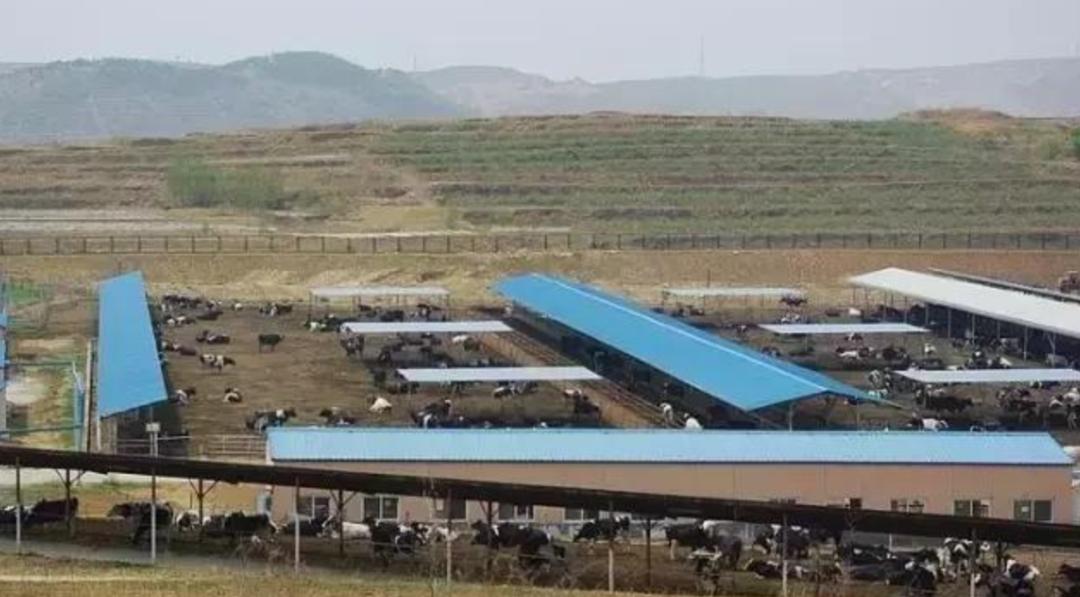 鏃ユ湰涓轰粈涔堝湪灞变笢绉熷湴,鏃ユ湰涓轰粈涔堝湪涓浗绉熷湴