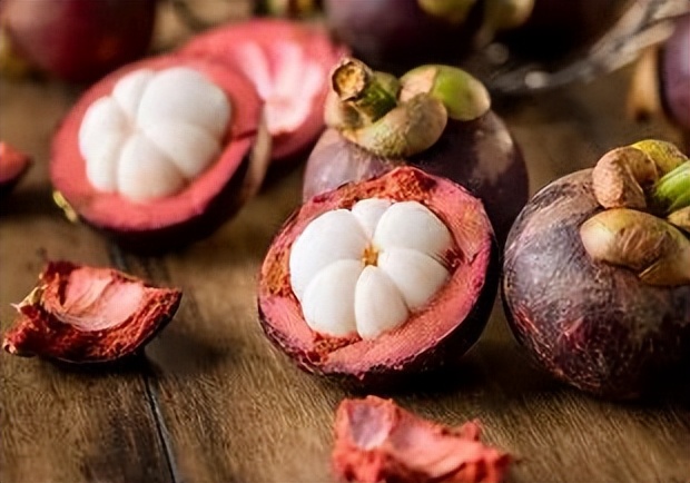 山竹详细资料,墨西哥山竹