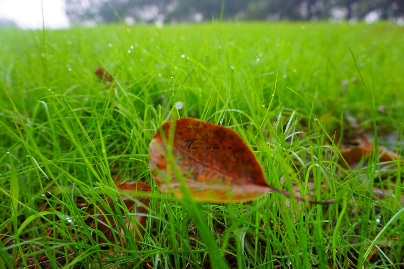 唐宋八大家水平最高的10首诗排名,唐宋八大家十大名诗排名