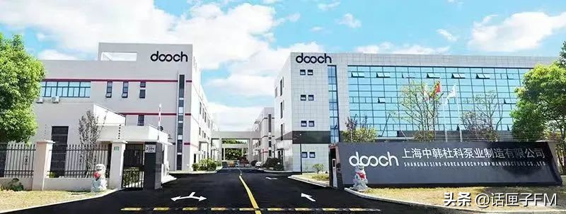 练塘茭白有哪些品种好吃,练塘新鲜茭白