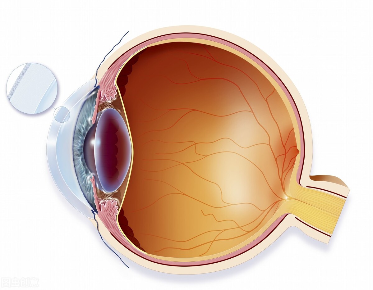 吃叶黄素能治好近视，是真的吗？