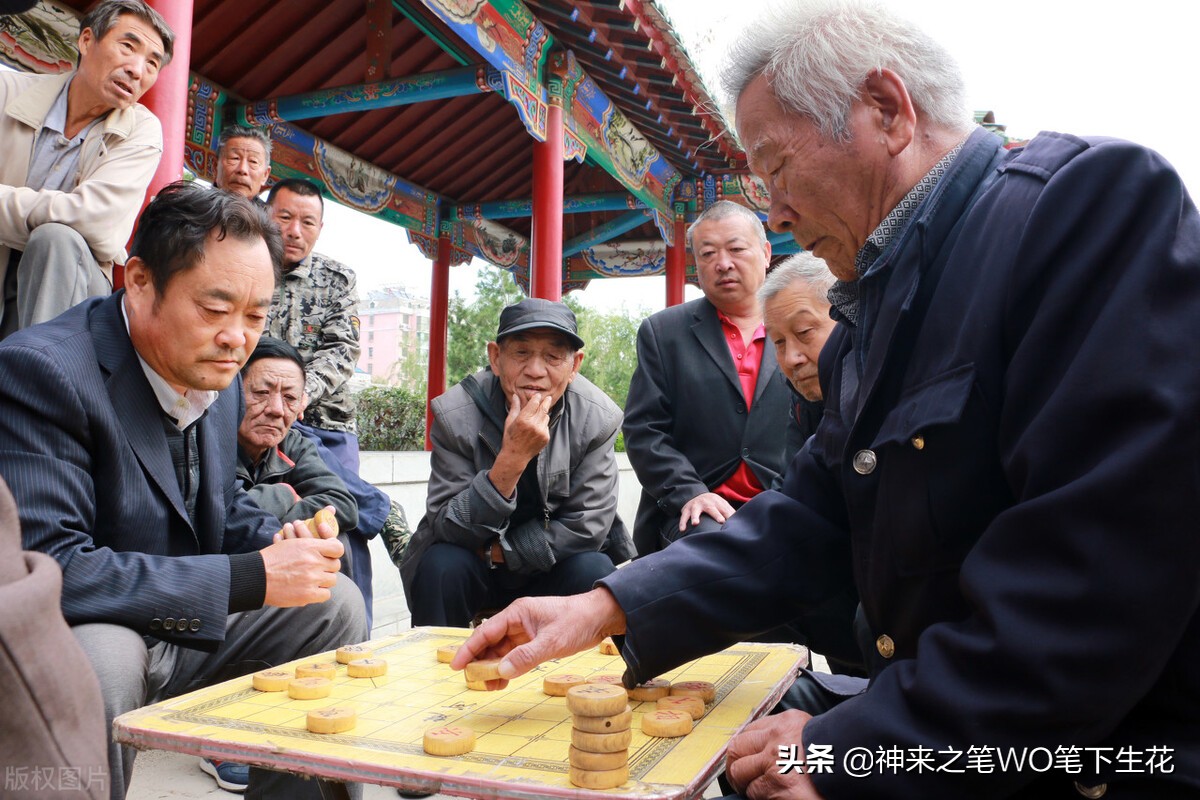 棋力最高的免费象棋软件,象棋软件名手棋力如何