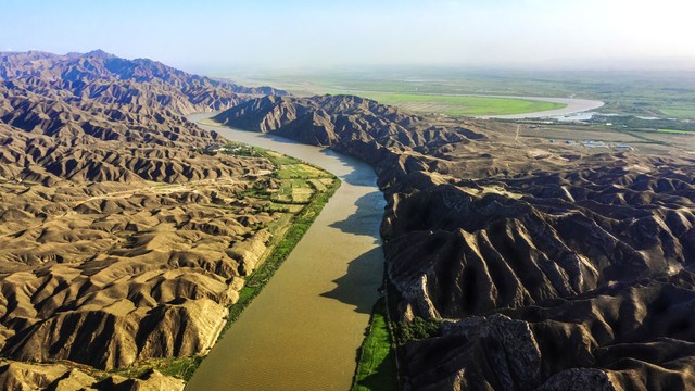 正宗宁夏红枸杞风景,宁夏红色枸杞