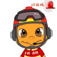 蓝焰守护哈利波特,蓝焰守护者