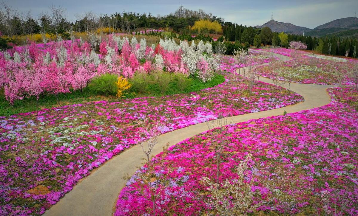 花事旖旎,关于年华最唯美的古诗
