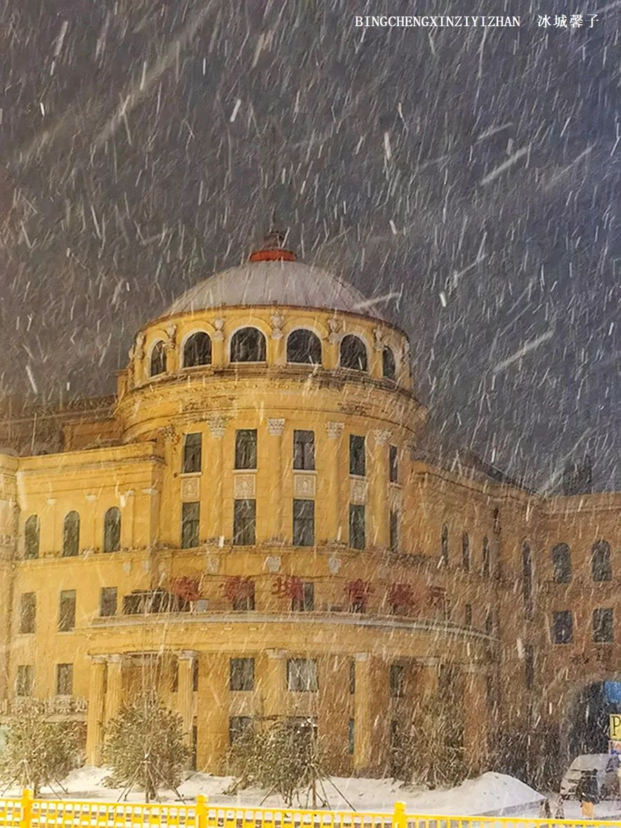 哈尔滨昨天的大雪,哈尔滨冬天的鹅毛大雪