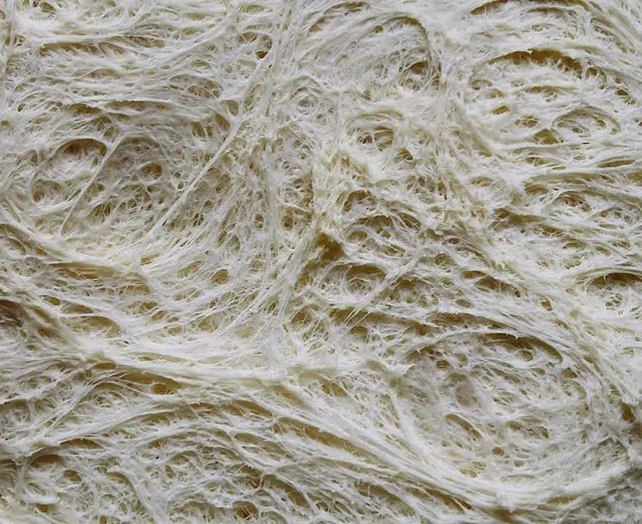 面团太粘手？一文告诉你如何打出一个「优秀面团」！