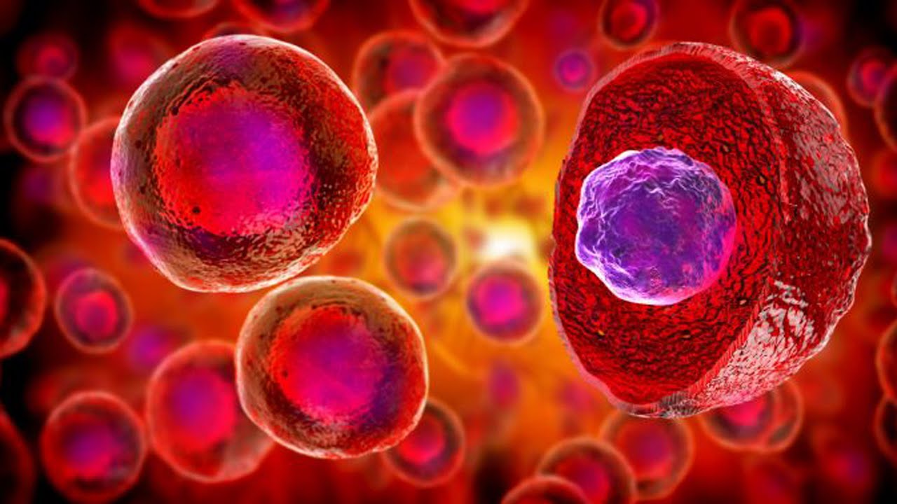 生命起源之谜：生命是如何在地球上诞生的？