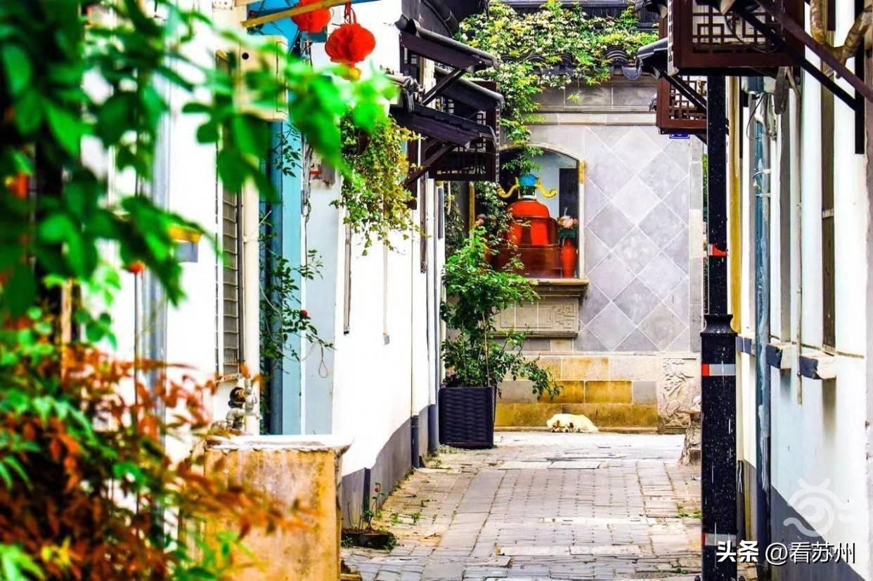 大美中国苏州篇|市域一体奔赴“十全十美”人间新天堂