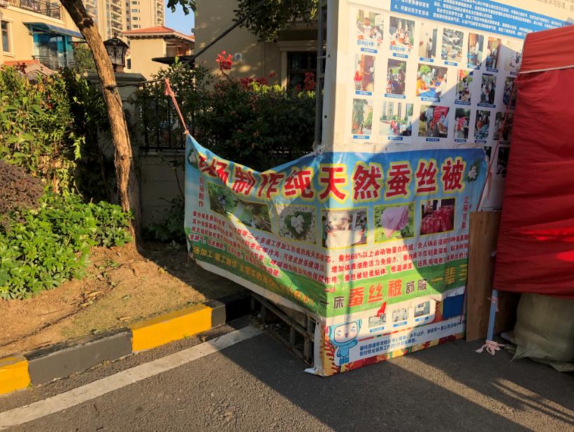 102.樟树上长的柞蚕和被子