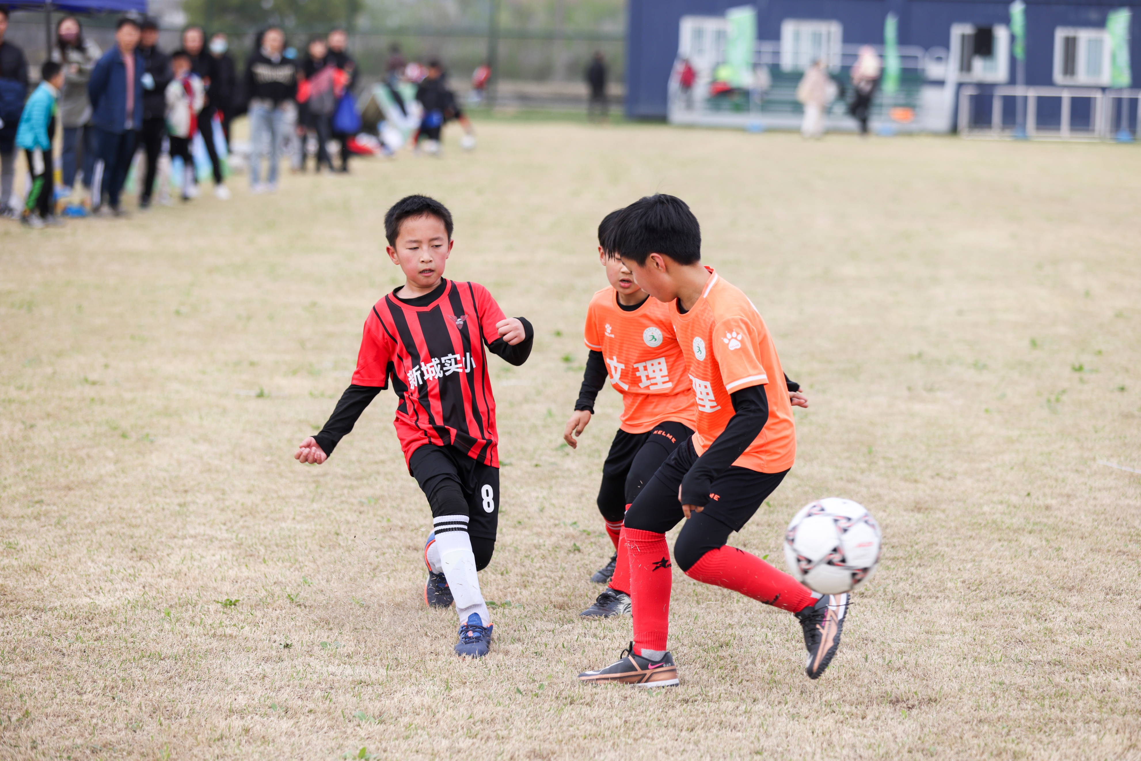 鍔╁姏浜氳繍瓒崇悆,鍠滆繋浜氳繍閫愭ⅵ缁胯尩