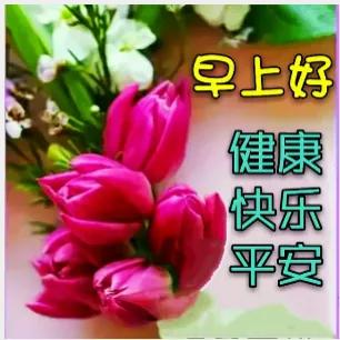 张氏一家亲群早晨问好语集锦（二）“生活哲理类”续整理/张天兴