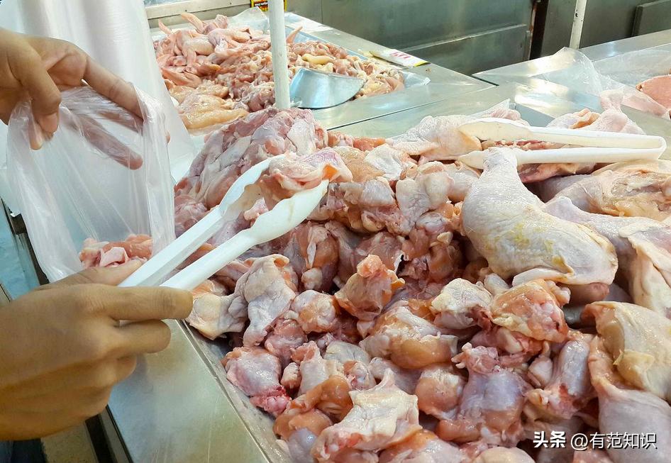 中科院博士裸辞,中科院博士谈裸辞开民宿