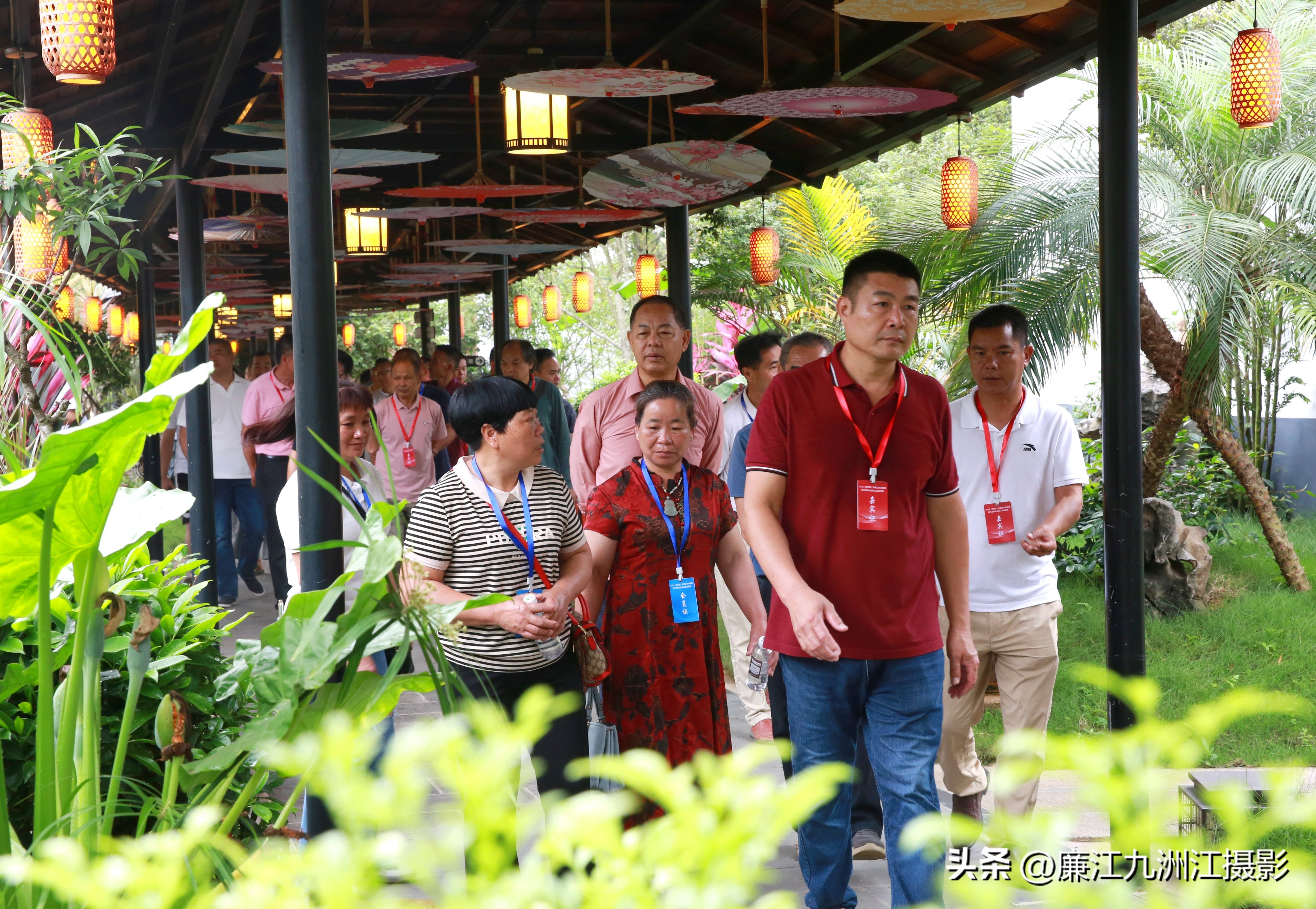 最高端的盆景展,一场惊艳的盆景展