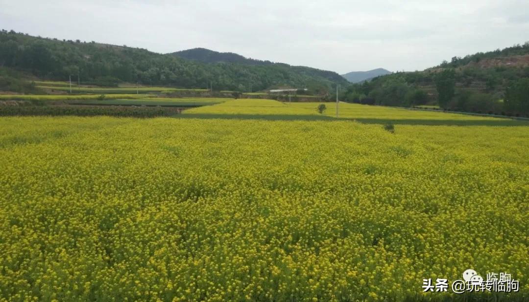 王兴汉从事蜂业小传