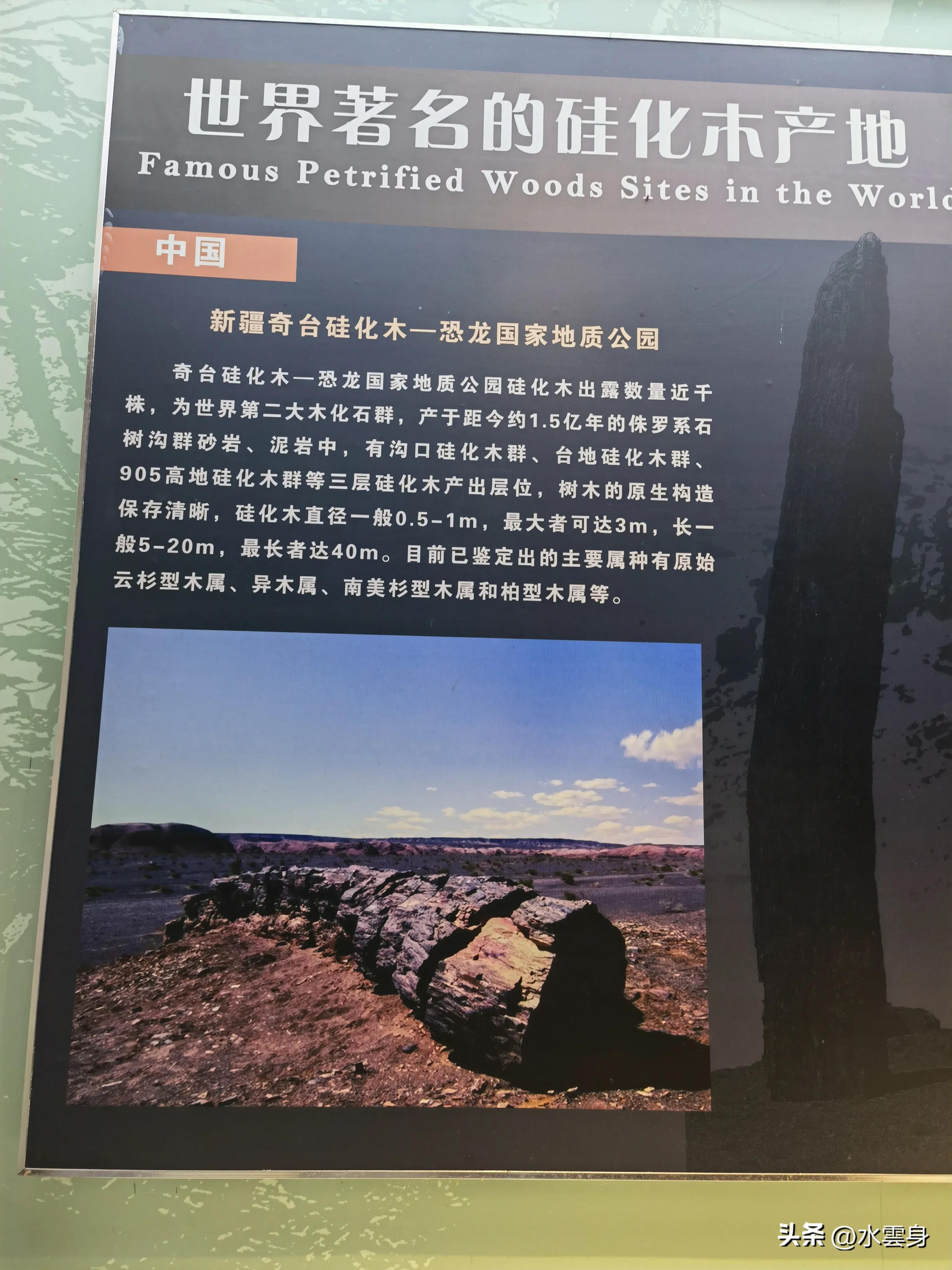 京郊赏花自驾游线路推荐,京郊免费景点一日自驾游路线攻略